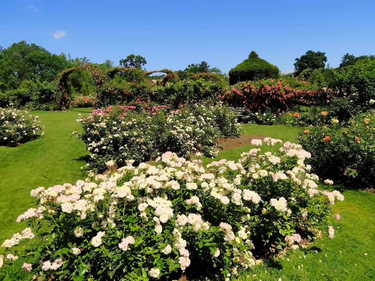 Beautiful garden in Hartford, Connecticut