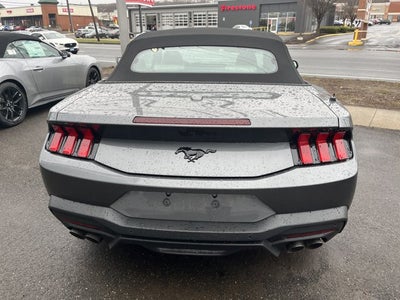 2026 Ford Mustang EcoBoost Premium
