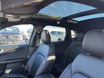 2026 Ford Escape ST-Line Elite